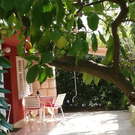 קורצולה Apartment Petrovic מראה חיצוני תמונה