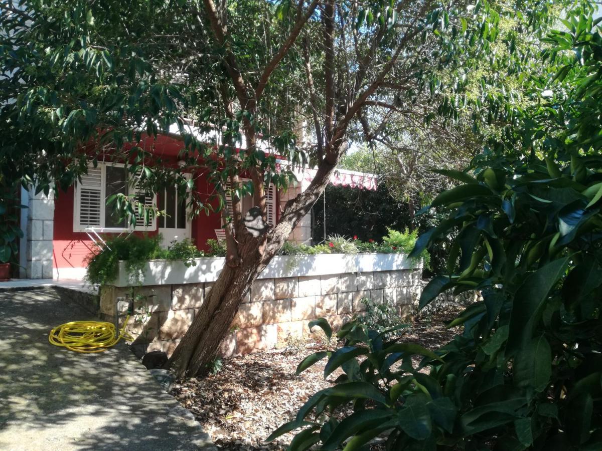 קורצולה Apartment Petrovic מראה חיצוני תמונה